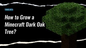 dark oak minecraft