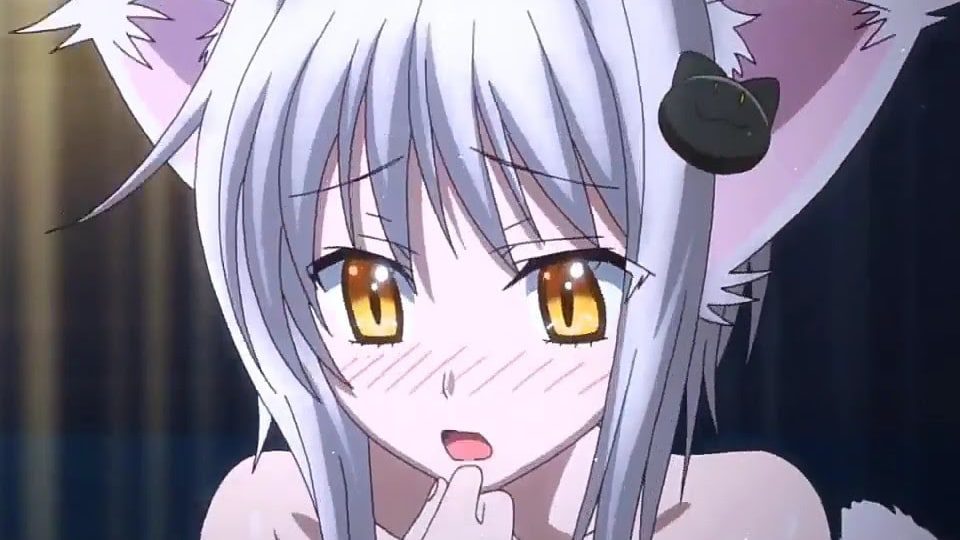 shirone sexy anime cat girl
