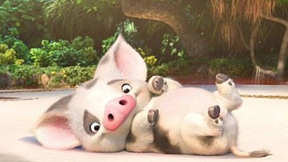 pua cartoon pigs