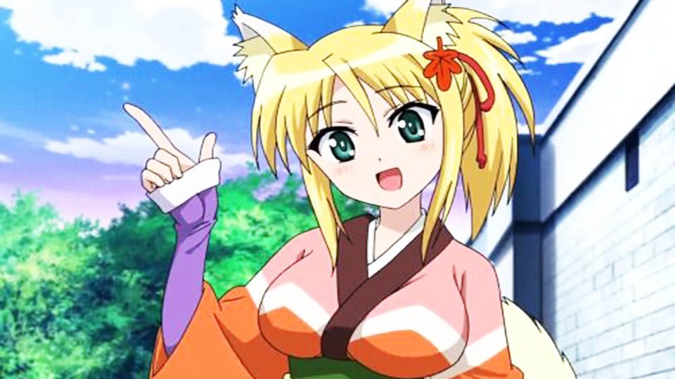 yukikaze panettone anime foxgirls