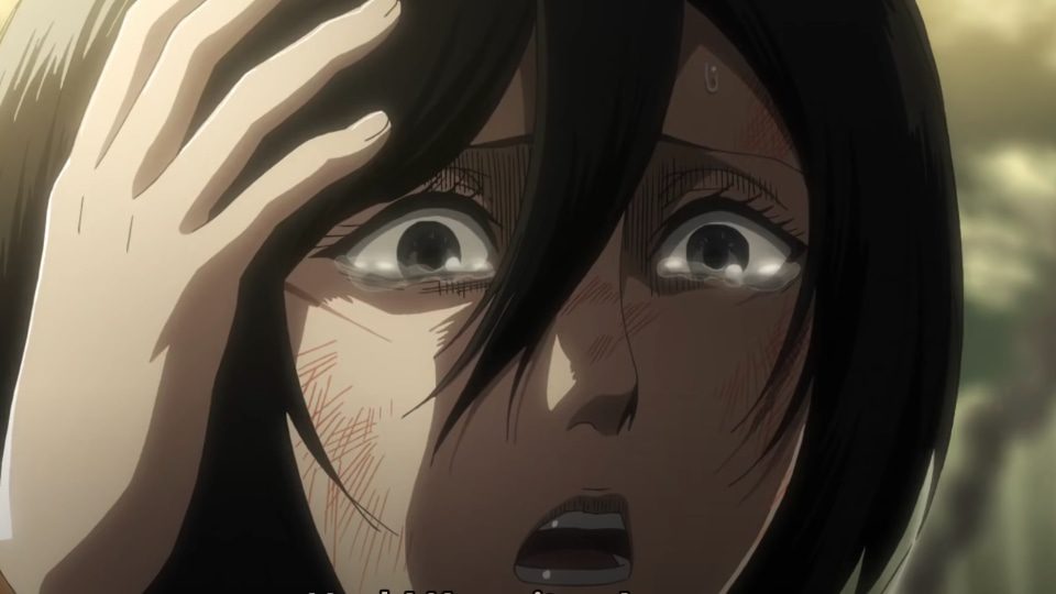 Mikasa Ackerman loyal anime character
